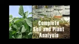 WebsiteVideos