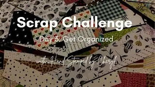 Scrap Challenge Day 3: Get Organized