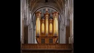Organ Recital - Robbie Carroll