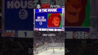 Simba at the Islanders game 😅