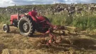 MF 65. Windowing  hay