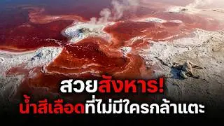 ความลับทะเลสาบสีเลือด! ทำไมน้ำที่นี่ถึงทำมัมมี่สัตว์ได้? (Lake Natron Tanzania)