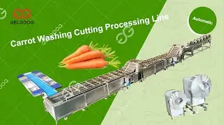Industrial Carrot Washing Cutting Mudding  Processing Line
