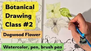 🌼 Botanical Bloom Drawing Class #2 | How to Draw Dogwood Flower in Watercolors, Pen & Brush Pen 🌸✍️