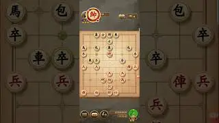 binh luan giao luu co tuong ziga buoi trua cuoi tuan vui ve