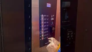 Cleaning out pet in the &ldquo;Dog Wash Machine&rdquo; is awesome
