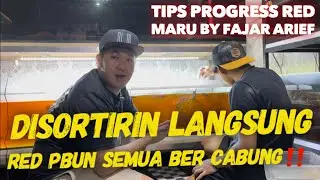 Sortir Red pbun bareng @fajararief12_ berikut tips progress nya‼️