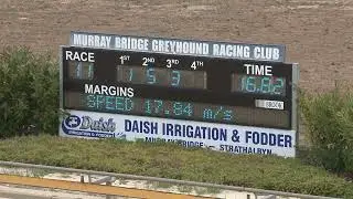 Murray-Bridge-Straight-30122025-Race-11