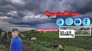 الفنان بريكين احمدالجداوي