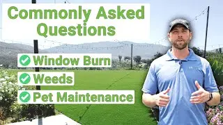 Window Burn, Weeds and Pets. How these can affect your new turf installation.