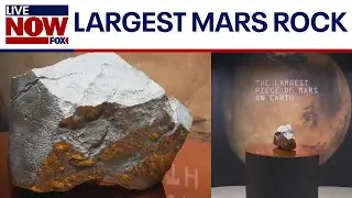 Largest piece of Mars on Earth fetches $5M+ at auction | LiveNOW from FOX