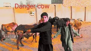 Challenge with danger gaaaaaa#1M