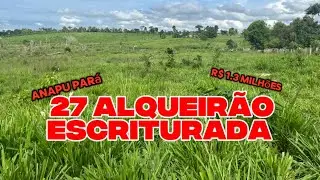 VAJEM QUEM TERRA BATATA COM ESCRITURA NA MÃO 🤚 na região de Anapu pará😳😱.