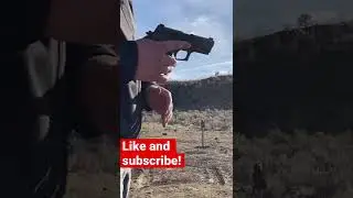 .40 S&W hits different! Sig P229