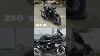 Kawasaki Ninja 250 SL / RR MONO