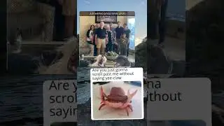 Crab meme #memes #meme #latestmeme #funnyimages #funny #funnypictures #laugh #comedy #newmemes