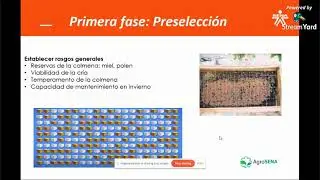Como se eligen los zanganos y reinas para mejorar nuestro apiario , APRENDER APICULTURA DESDE CERO