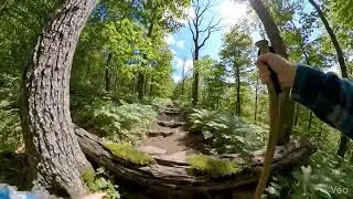 Appalachian Trail Hike Meditation: Study #14
