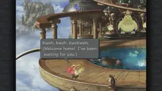 Final Fantasy IX Sidequests - Chocobo's Paradise