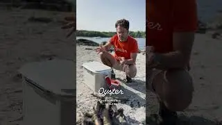 Oyster Tempo Cooler - No ice needed