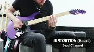 Peavey 5150 Block Letter Capture | Tonex / Kemper / Ampero II
