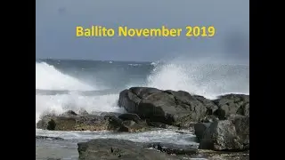 Underwater impressions from a tidal pool in Ballito (South Africa) in November 2019