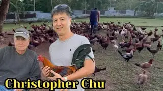 Mr. Christopher Chu Farm Philippines - Beautiful View Feeding Time Big Farm