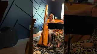 First Harp Lesson - Charleston Harpist