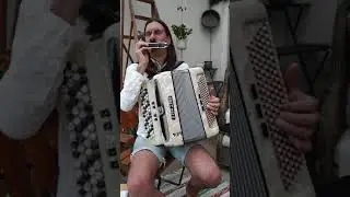 Harmonica and accordion - work in progress #shorts