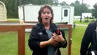 Hurricane Matthew Extension Tips
