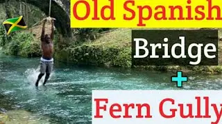 Adventure at the Old Spanish Bridge and Fern Gully in Jamaica | Ocho Rios Tour Guide