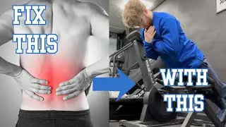 5 Exercises That Bullet-Proof your Back 
