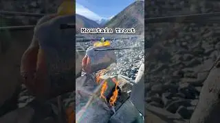Skewered Mountain Trout Catch and Cook #shorts