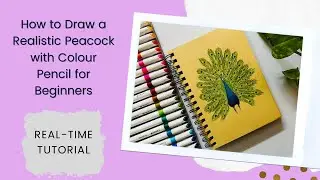 Real-Time Peacock Drawing with Colour Pencils | Step-by-Step for Beginners🦚 #premiere #art #drawing 