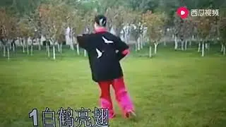 36式养生太极扇口令版。