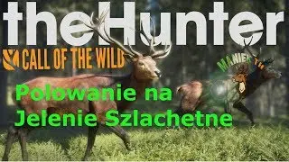 Polowanie na Jelenie Szlachetne