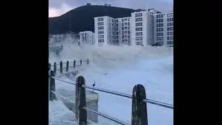 Strong winds blowing sea foam across parts of Cape Town, South Africa 😲