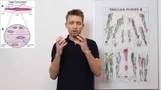 Kuitkramp - Fysiotherapie4all