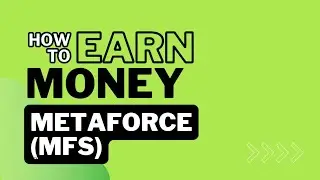 HOW TO MULTIPLY YOUR INCOME|MFS|METAFORCE
