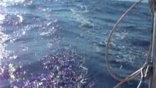 une traversée tranquille pour visiter la corse