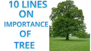 10 Lines importance of tree in English for Students