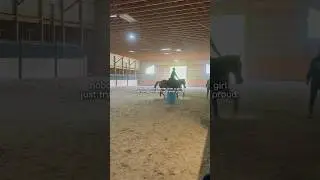 training an ottb to be a barrel racer is not for the weak #thoroughbred #horse #equestrian