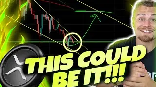 ВЛАДЕЛЬЦЫ XRP! ВСЕ ИСХОДИТ ИЗ ЭТОГО! *ПОСЛЕДНИЙ ШАНС НА РОСТ!* ПРИБЛИЖАЕТСЯ МЕДВЕЖИЙ РЫНОК...