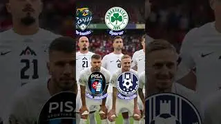 Slovenia Squad Euro 2024 - Which club do they come from? #slovenia  #squad
