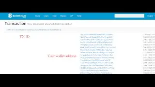 How to tracking Bitcoin Transaction payment proof
