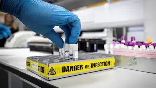 10% of Global Population May Have Been Infected With Covid