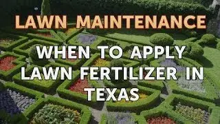 When to Apply Lawn Fertilizer in Texas