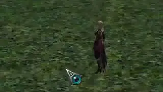 Metin 2 - Sura BM Skille