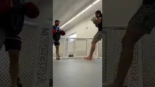 Sharp Boxing combos! 👊🔥 #mma #fitness #boxing #kickboxing #muaythai #ufc #shorts