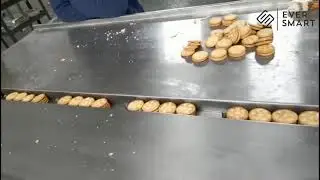 2 Lane Sandwiching Machine With Flow Packaging
